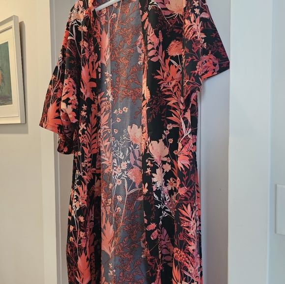 Duster - Picture 2 of 7